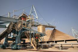 Image du Maroc Professionnelle de  Un agent de sécurité contrôle les installations du Stacker dans la Zone du stockage du phosphate lavé au complexe pétrochimique de Safi de L'Office chérifien des phosphates (OCP) datant des années 60. Dans cette unité on produit de l'acide phosphorique et des engrais. Le Groupe OCP est une société anonyme fondée en 1920 et domiciliée au Maroc. OCP S.A est le Leader mondial de l'industrie du phosphate, Mardi 28 Août 2007. (Photo / Abdeljalil Bounhar) 